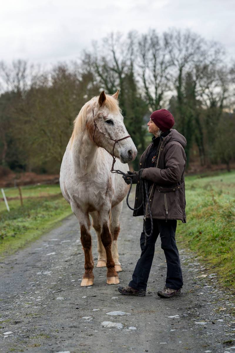photo-equestre-redon photographe maternité Redon